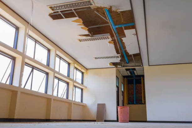 Best Basement water damage restoration  in Chetek, WI