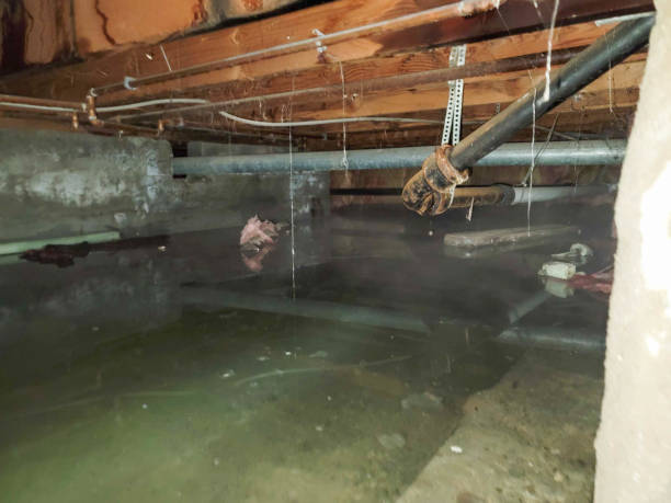 Best Basement water damage restoration  in Chetek, WI