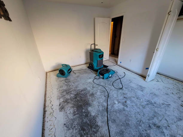 Best Commercial water damage restoration  in Chetek, WI