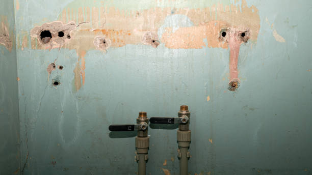 Best Ceiling water damage repair  in Chetek, WI